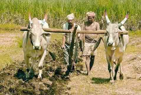  Kisan Samman Nidhi Yojana