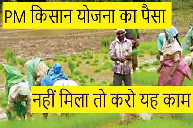 pm Kisan Yojana Ki kist Nahi Mili To Karen kam