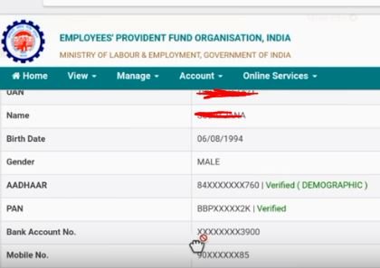 PF ONLINE CHEK