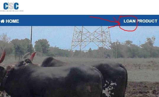 CSC Loan,Two wheeler loan CSC Loan,Two wheeler loan