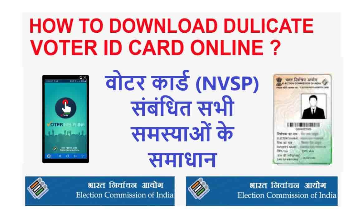 nvsp status check