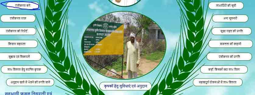 UPAGRICULTURE.COM UPAGRICULTURE.COM